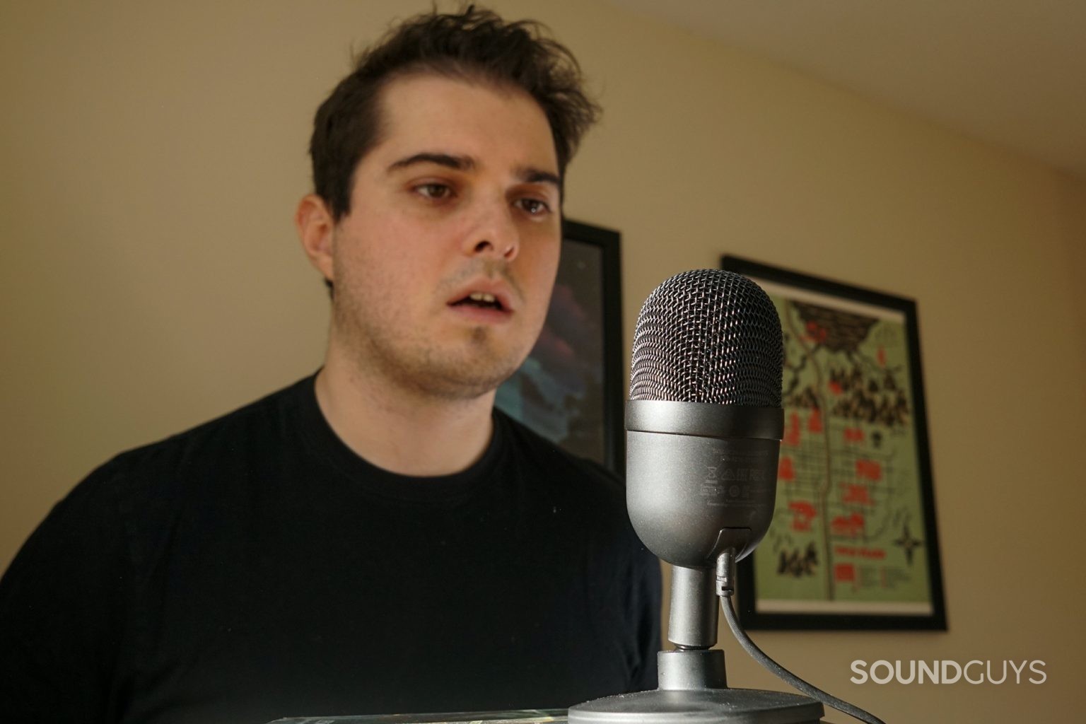 Razer Seiren Mini Review Soundguys