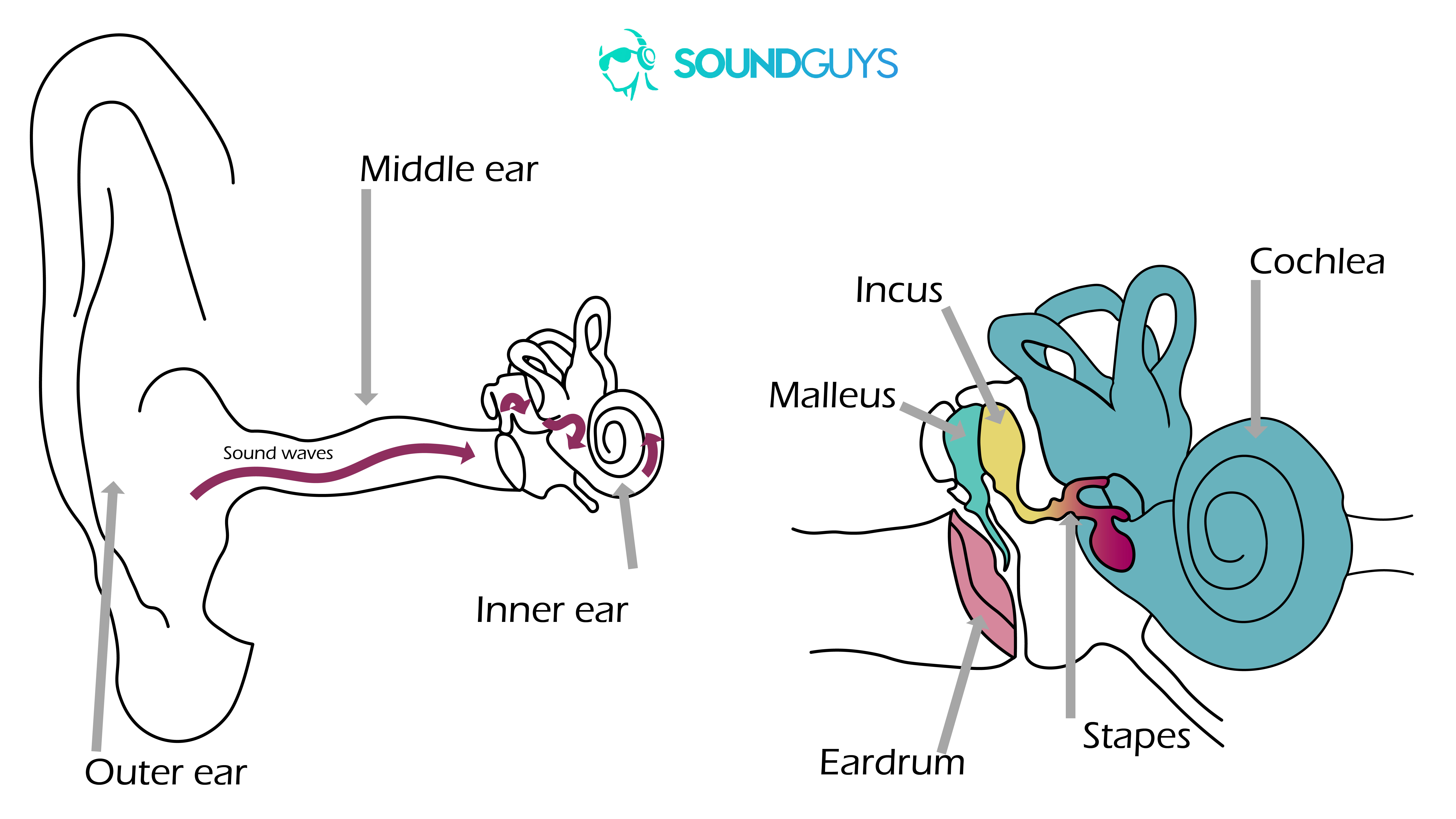 How to find the best earbud tips for your ears - SoundGuys