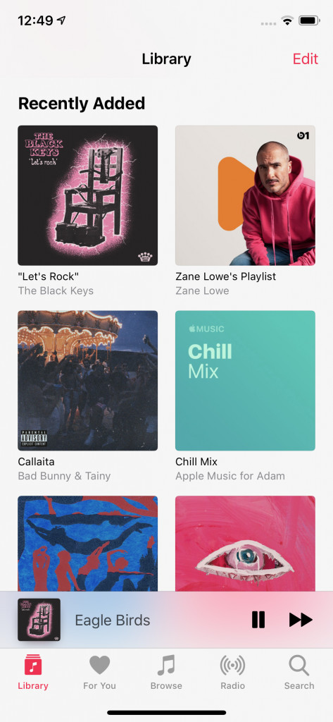 Screenshot of the library section in Apple Music.