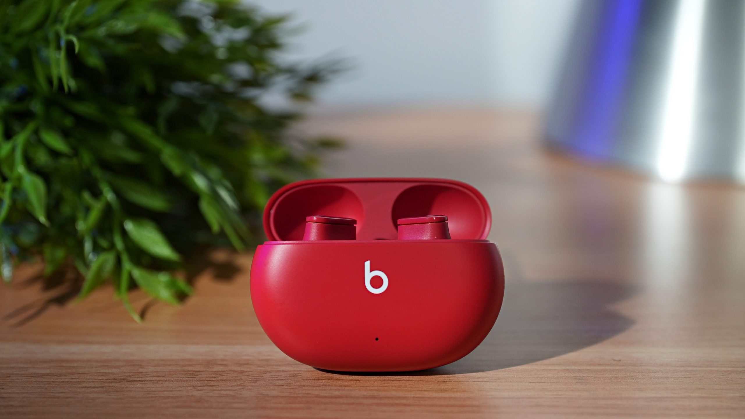 Beats Studio Buds review: Priced to please?
