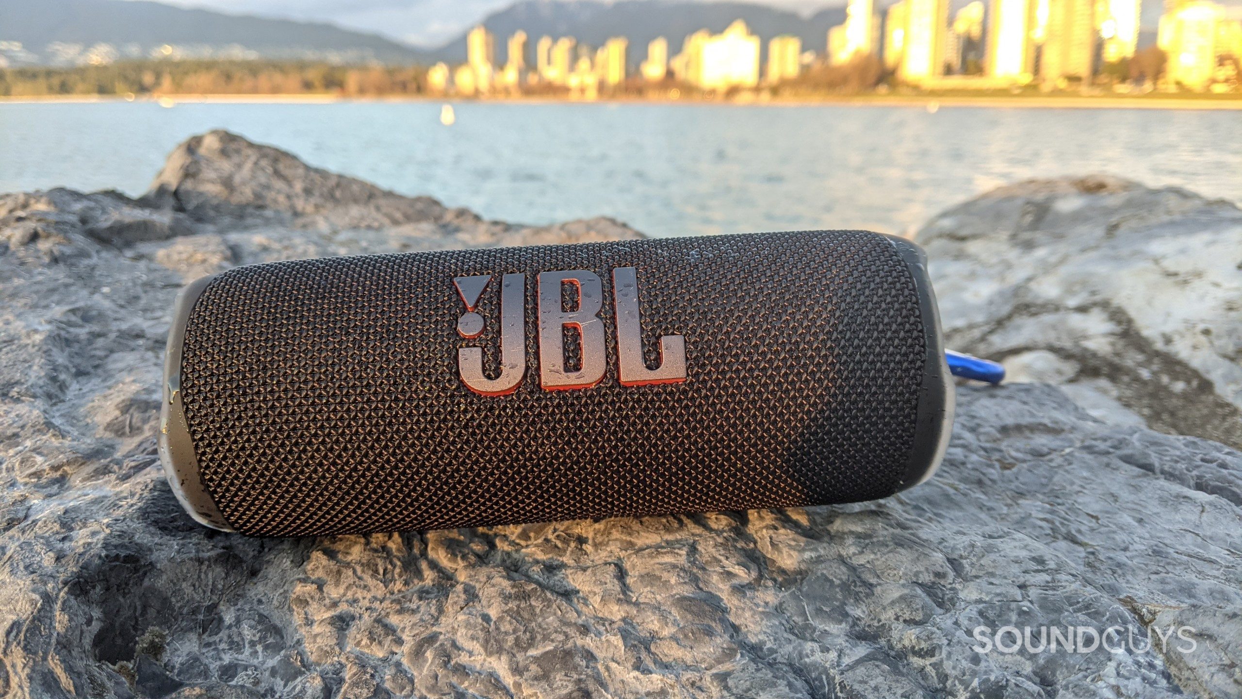 JBL Flip 6 Portable Bluetooth Speaker (Black) - JB Hi-Fi