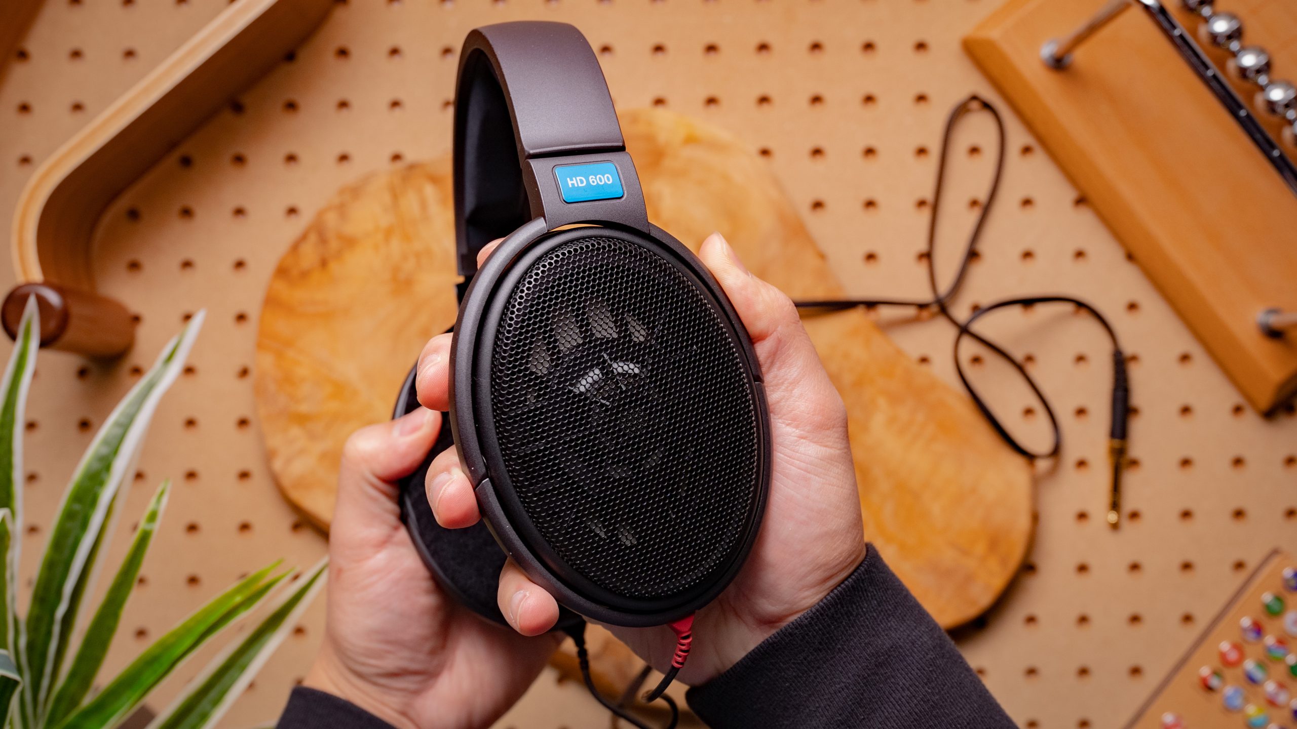 Sennheiser HD 600 Review: Rich Sound for Audiophiles