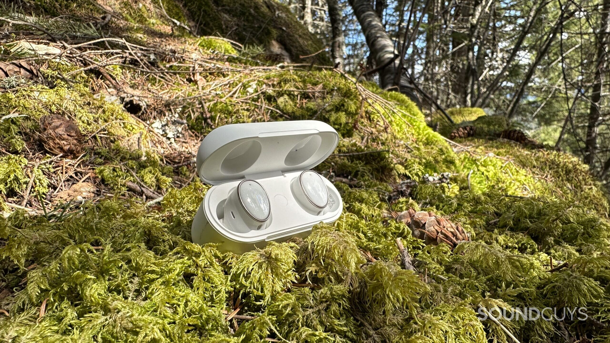 A pair of 1MORE Evo earbuds in their case on a mossy rock.