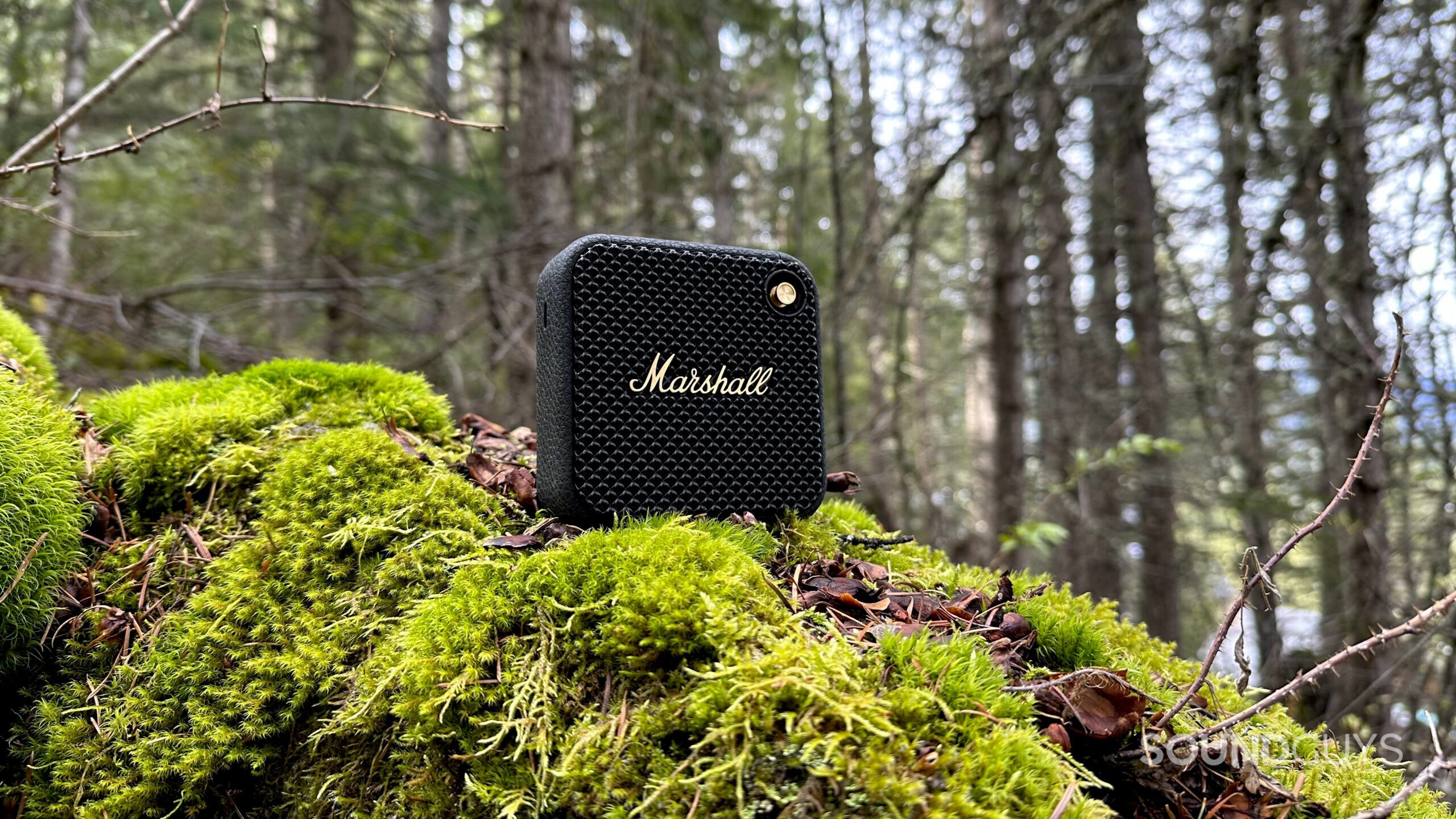 A Marshall Willem speaker atop a mossy rock in the forest.