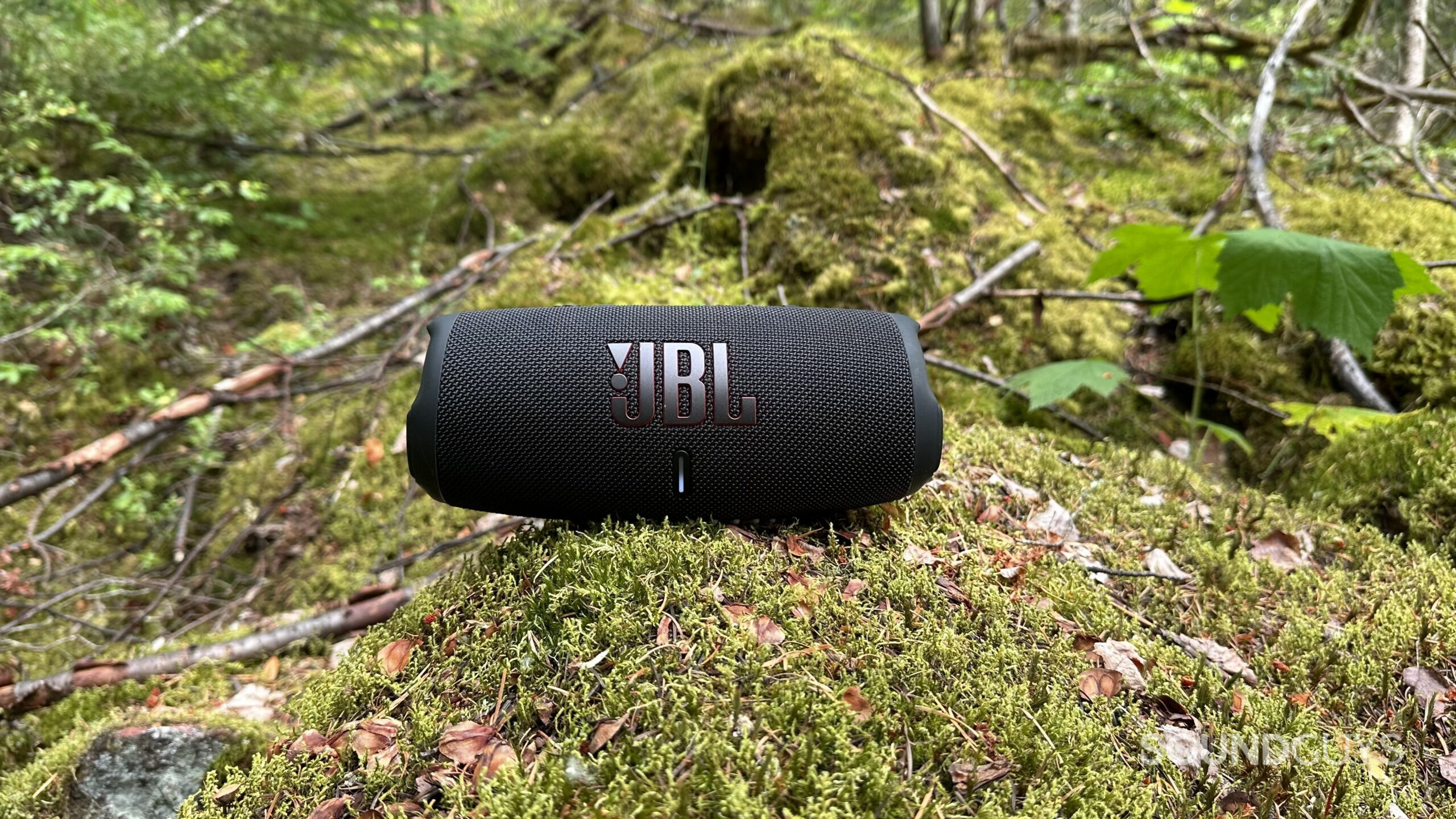 JBL Charge 5 speaker placed on some mossy rocks in a forest.