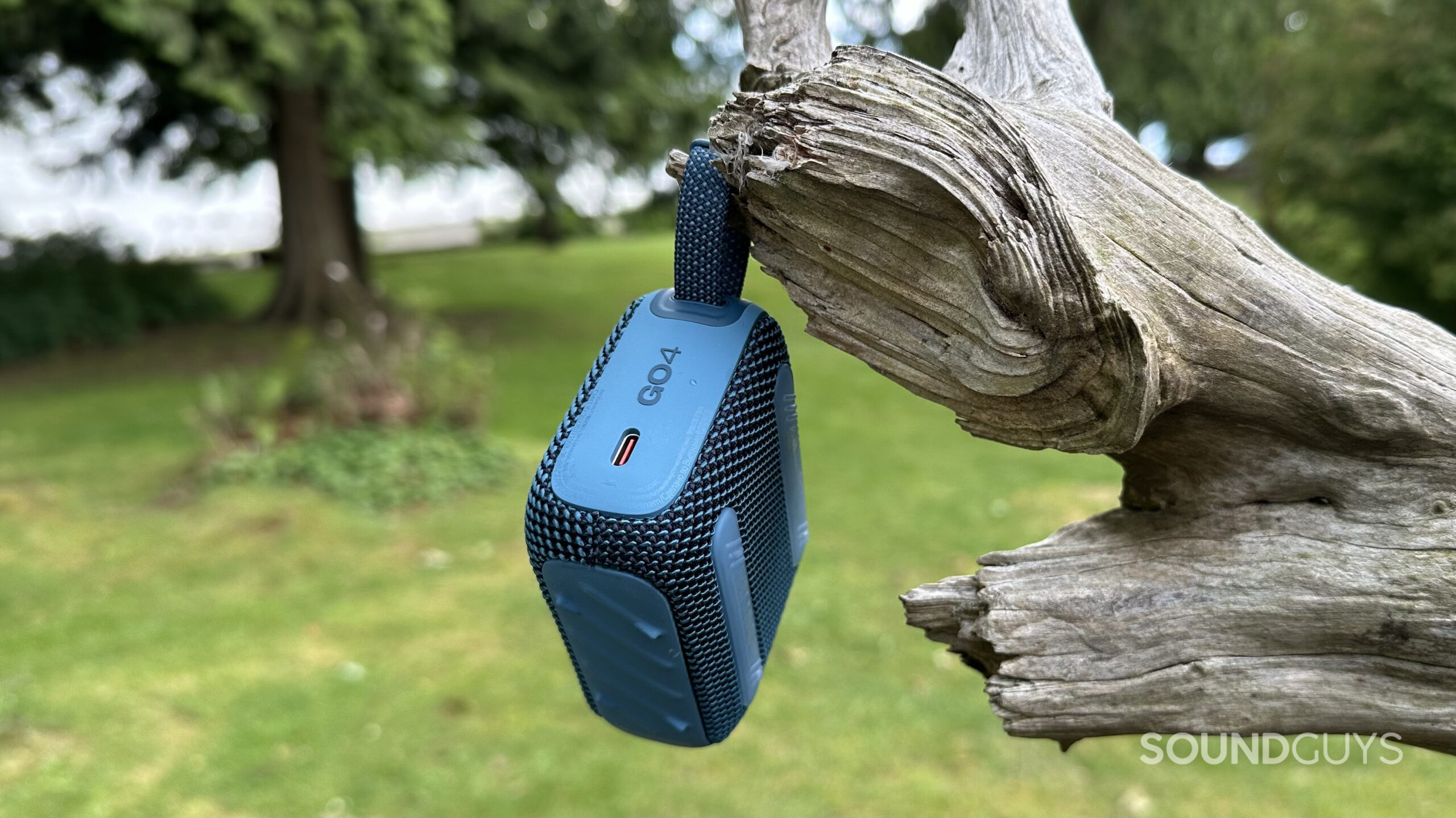 A JBL Go 4 hanging from a tree branch, showing it's USB-C charge port.