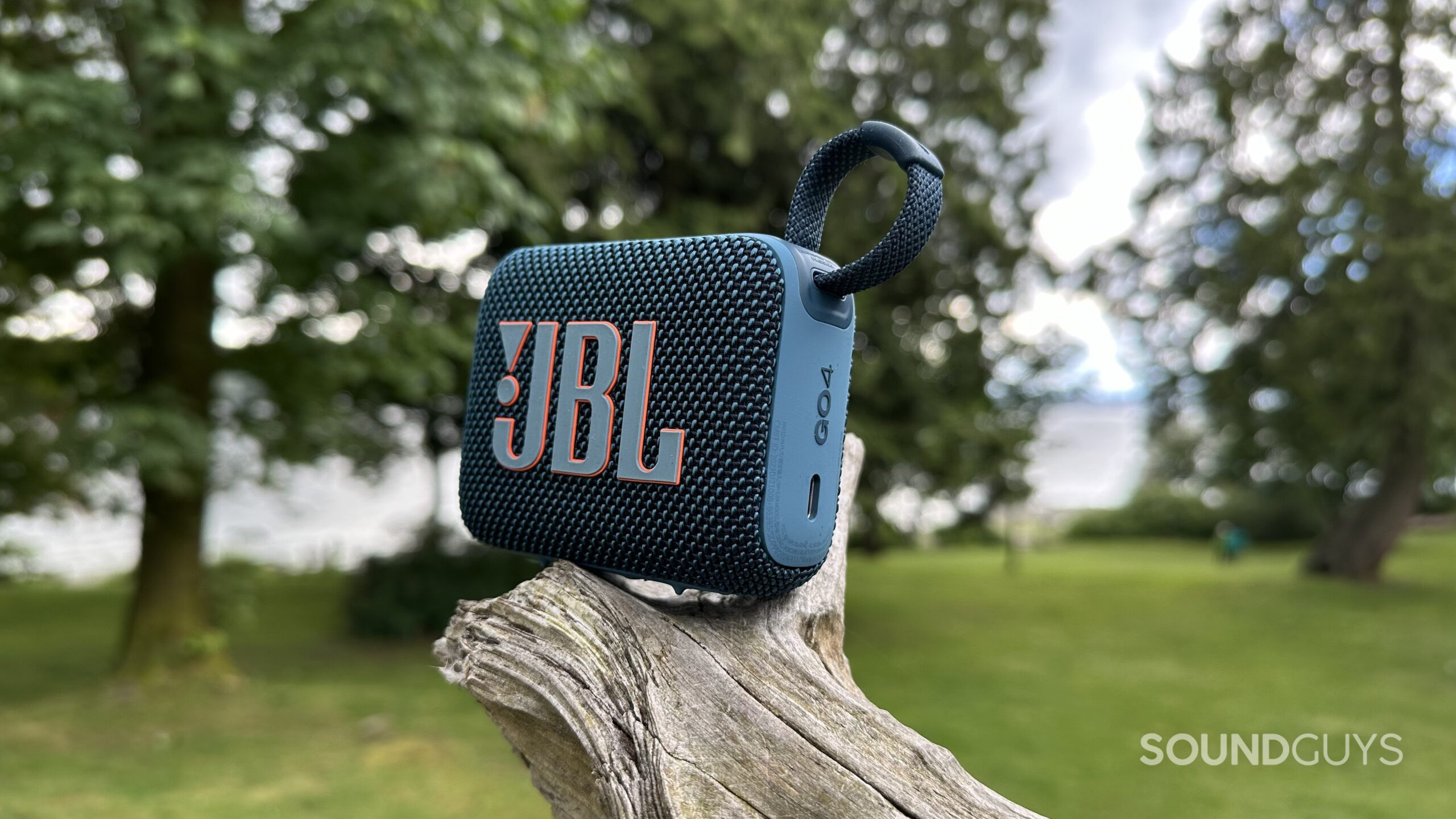 A JBL Go 4 speaker placed on some driftwood in the park.