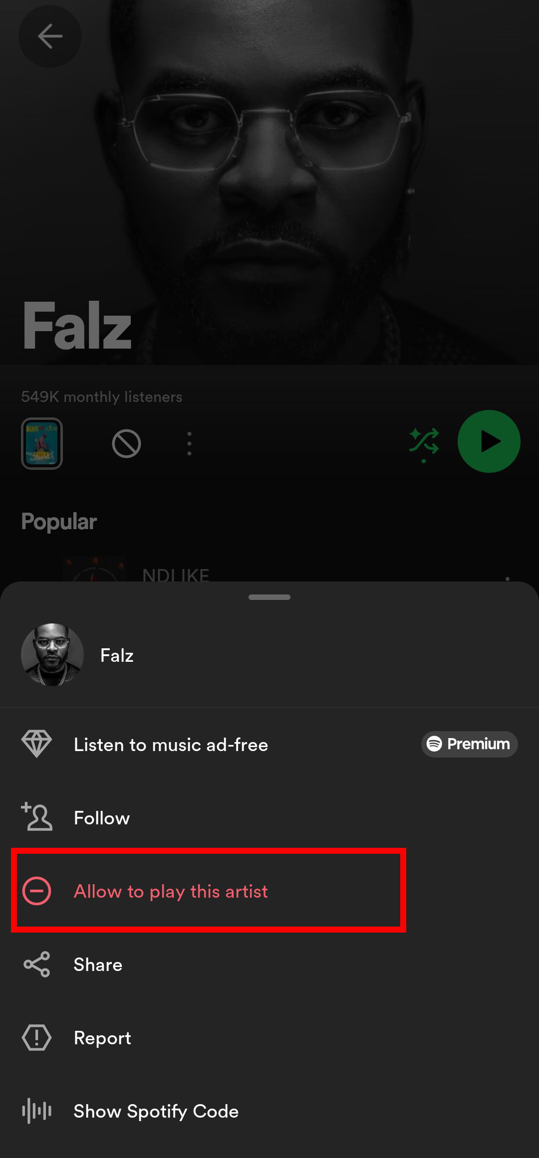 Profile page options of an artist called Falz