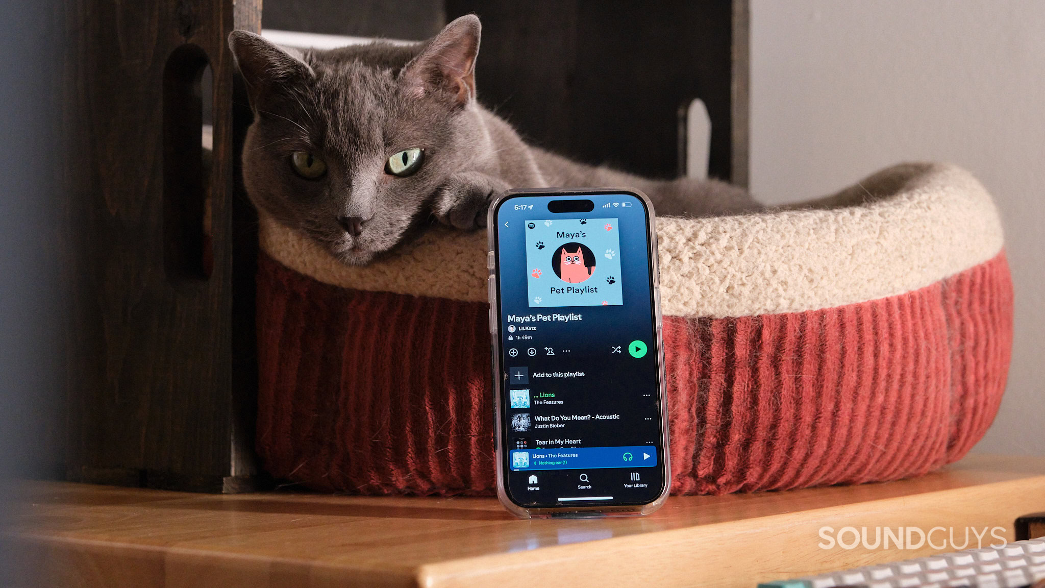An iPhone displays a Spotify Pet Playlist in front of a gray cat resting in bed.