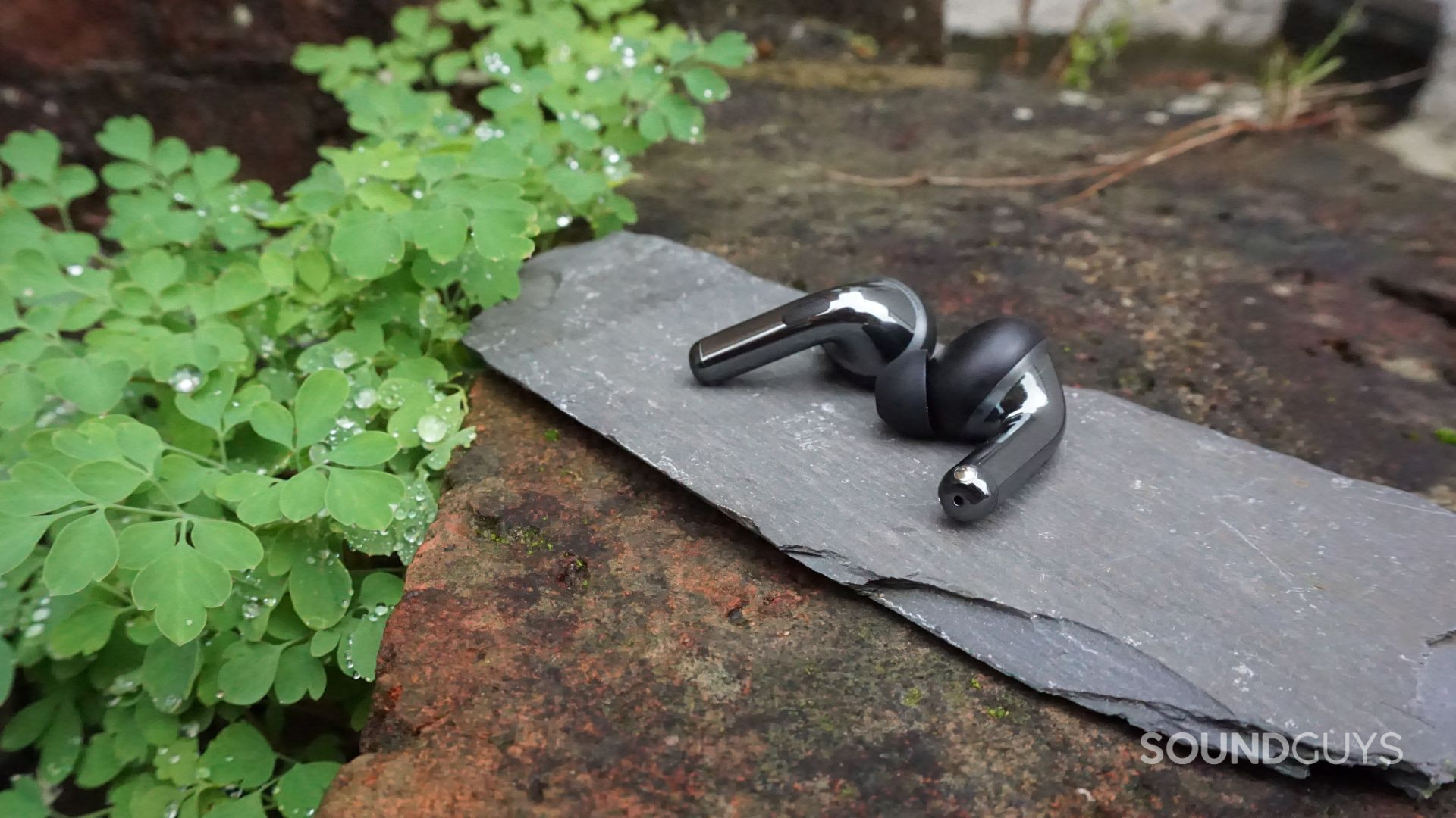 A photo of the OnePlus Buds Pro 3 earbuds near some wet moss.