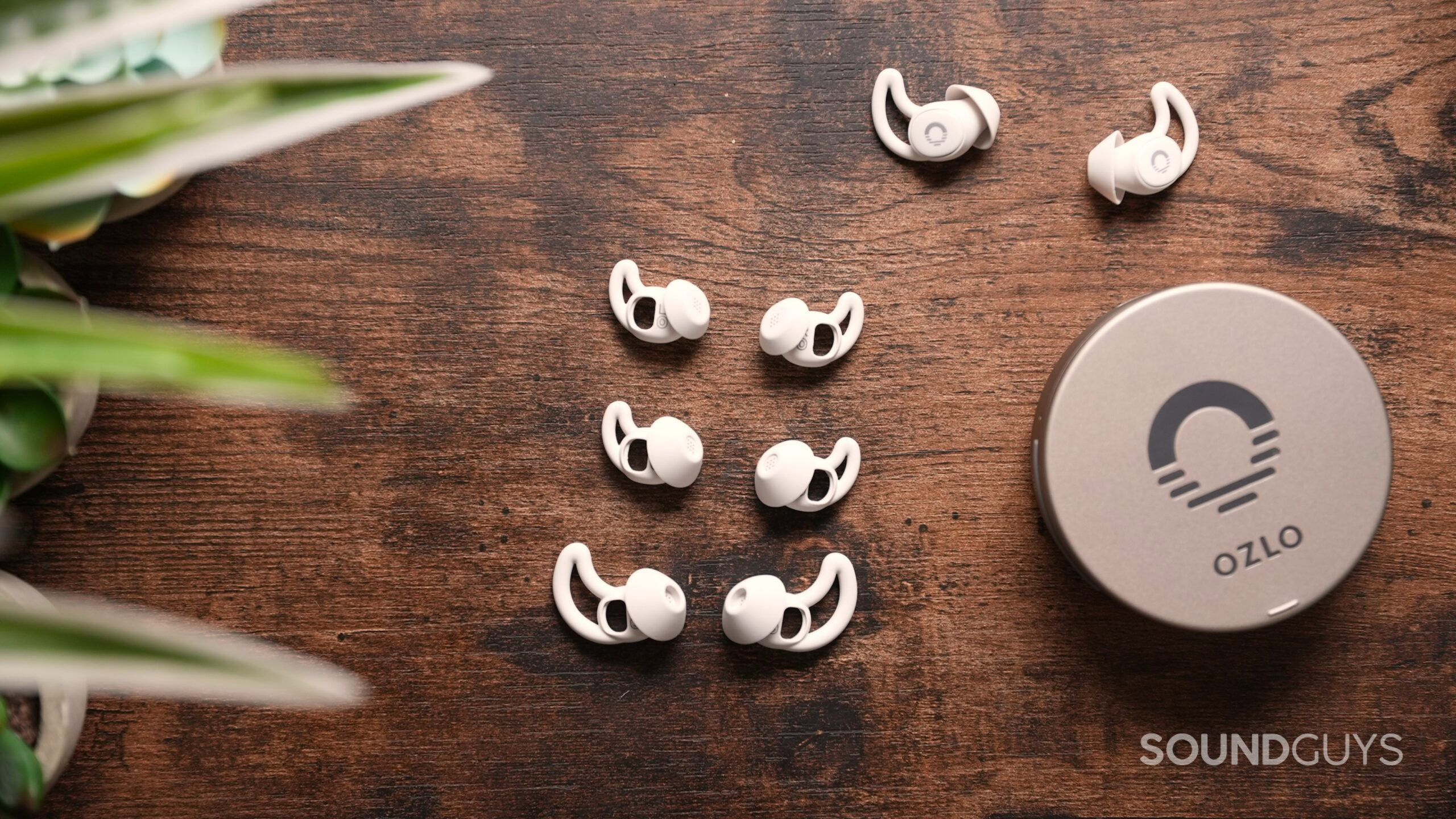 ozlo sleepbuds ear tip options