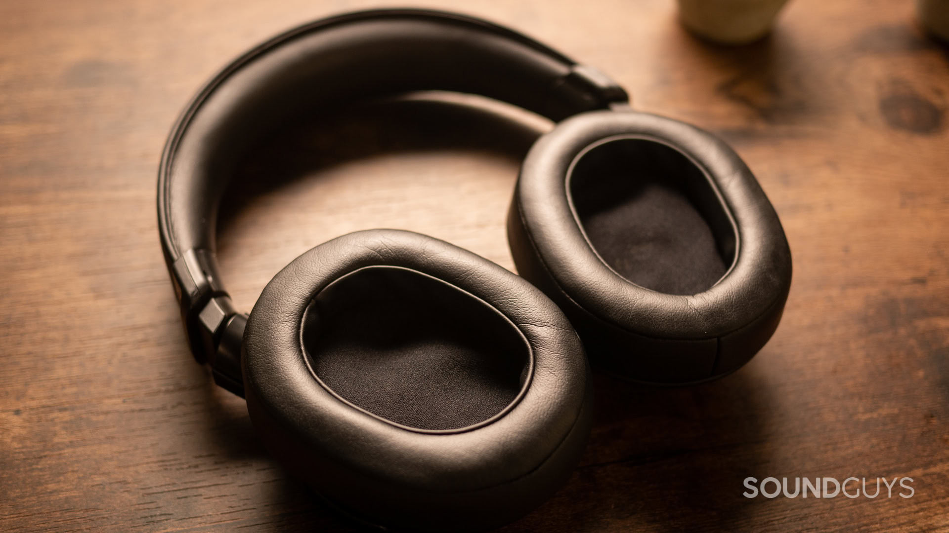 A close-up photo of the Sony MDR-M1's ear pads.