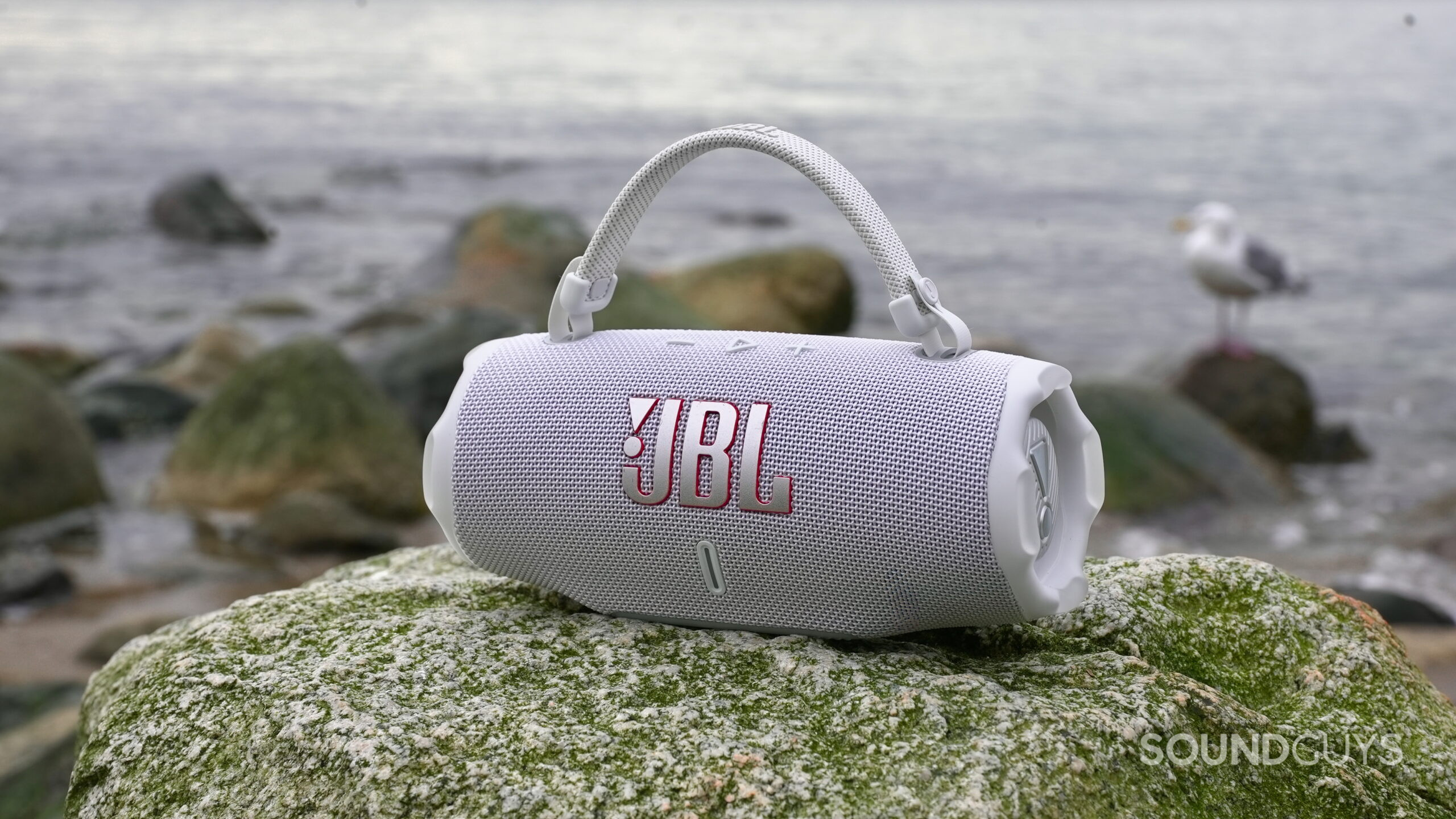 A JBL Charge 6 resting on a rock at the beach with a bird in the background.